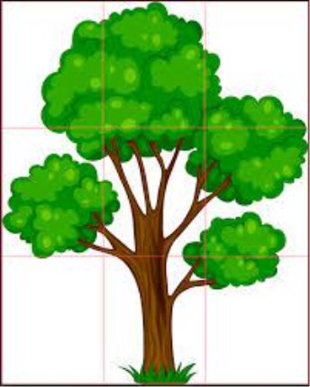 Дерево для наш клас або для... - Допомога вчителю НУШ | Facebook